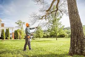 Best Lawn Maintenance Plans  in Santa Maria, CA
