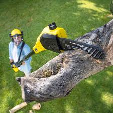 Best Lawn Mowing  in Santa Maria, CA